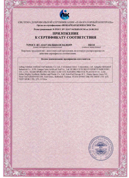 Screenshot 2025-07-09 at 15-33-35 СС ПБ 00389.pdf